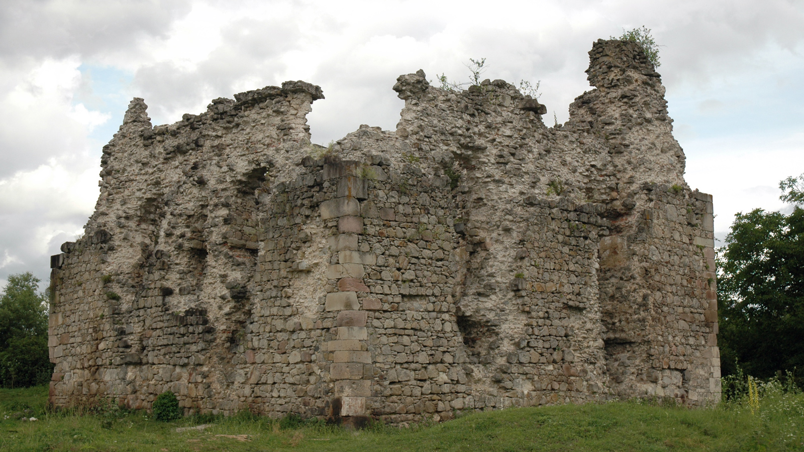 Мукачевский район