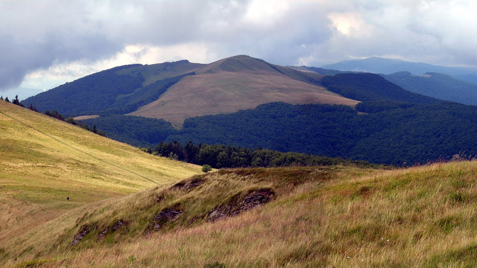 Великоберезнянский район