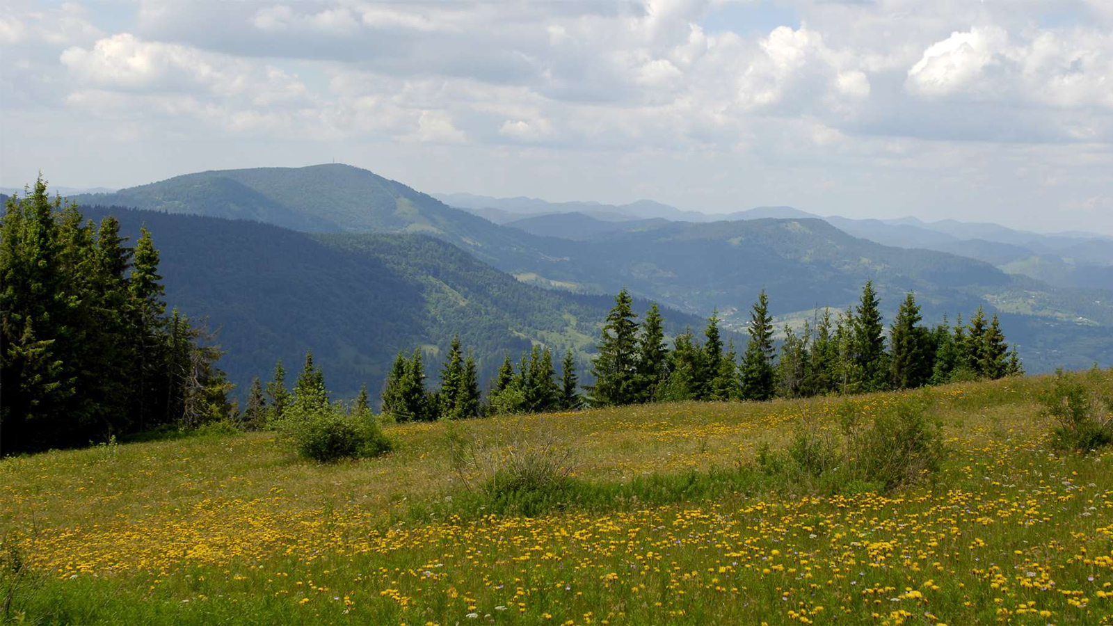 Великоберезнянский район