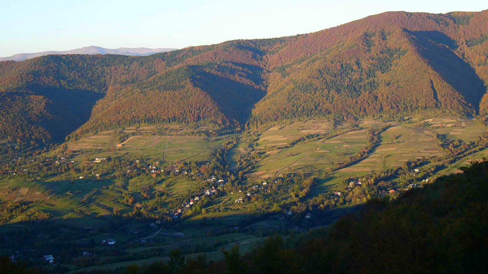 Великоберезнянский район